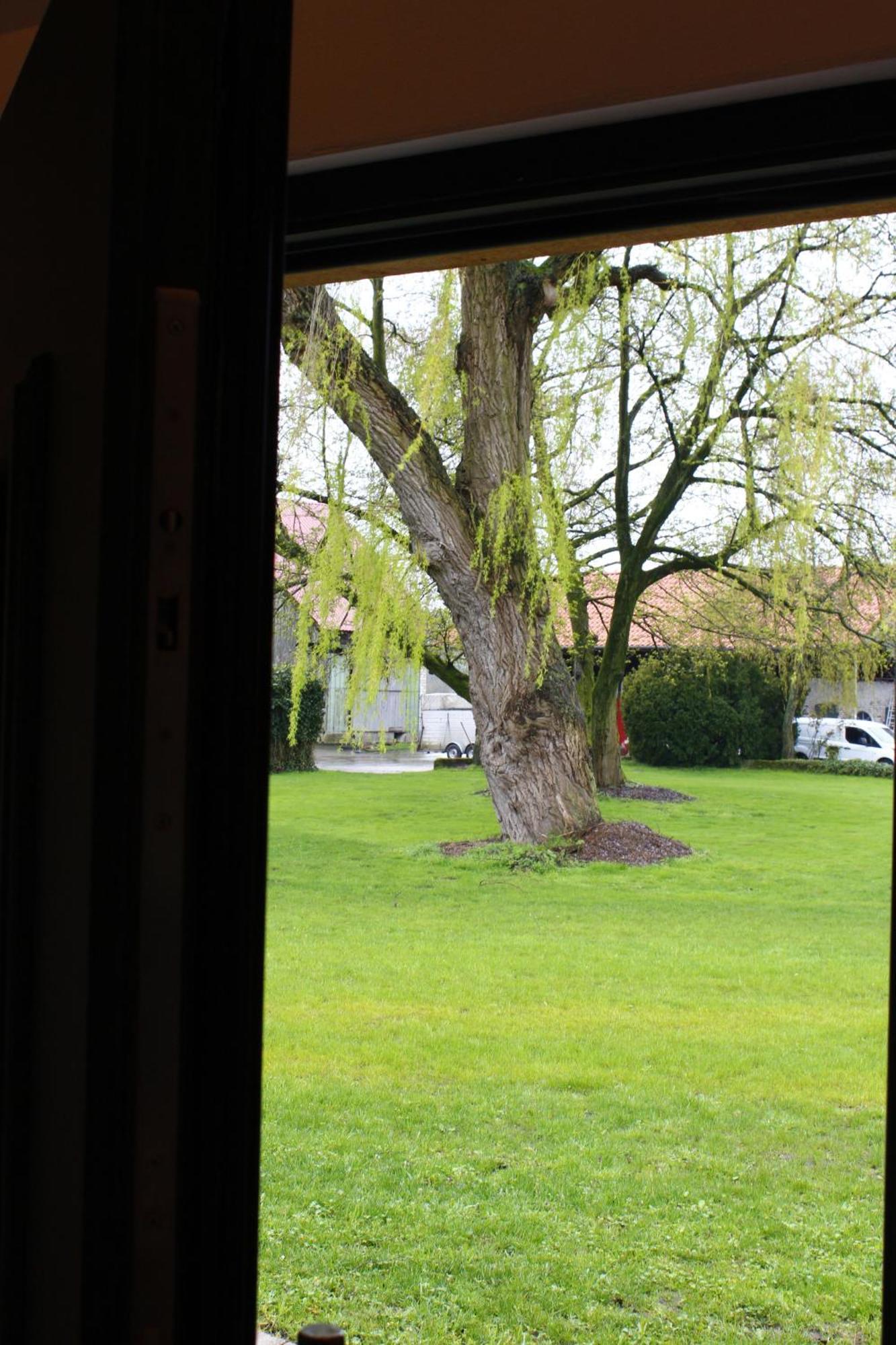Appartement Weitblick - Ruhepol In Muensterlaender Parklandschaft à Dülmen Extérieur photo